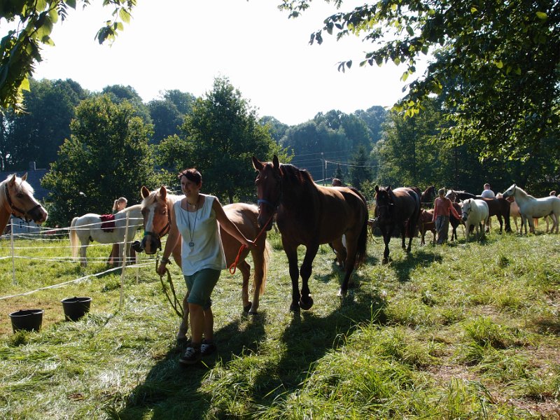 p140723-017149.jpg - 21. Historischer Besiedlungszug 20145. Tag - Greifendorf