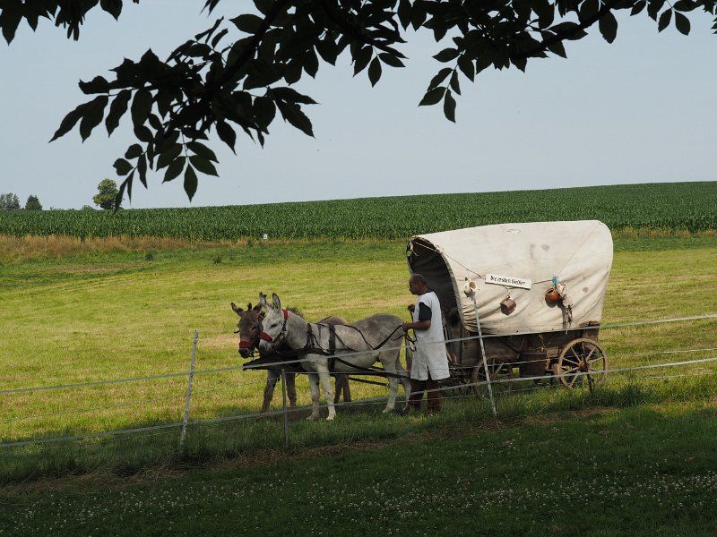 p150712-002589.jpg - 22. Historischer Besiedlungszug 20152. Tag - Sachsenburg