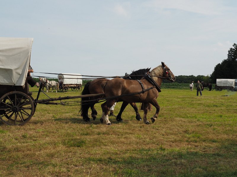 p150712-002590.jpg - 22. Historischer Besiedlungszug 20152. Tag - Sachsenburg