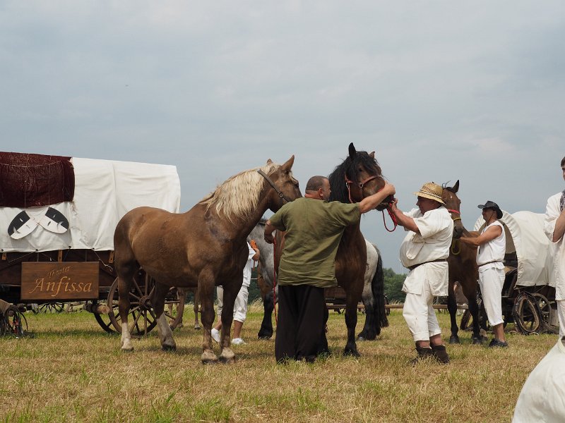 p150712-002619.jpg - 22. Historischer Besiedlungszug 20152. Tag - Reichenbach
