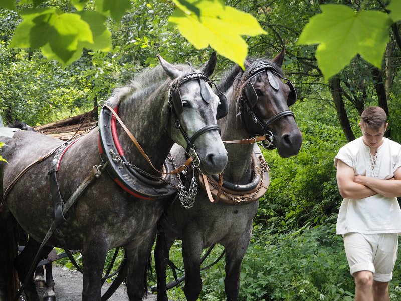 p150715-003115.jpg - 22. Historischer Besiedlungszug 20155. Tag - Kleinwaltersdorf - Langenau