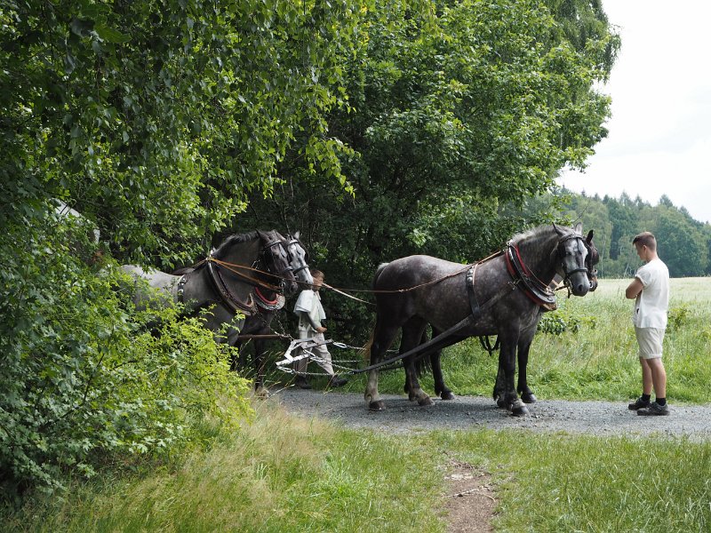 p150715-003123.jpg - 22. Historischer Besiedlungszug 20155. Tag - Kleinwaltersdorf - Langenau