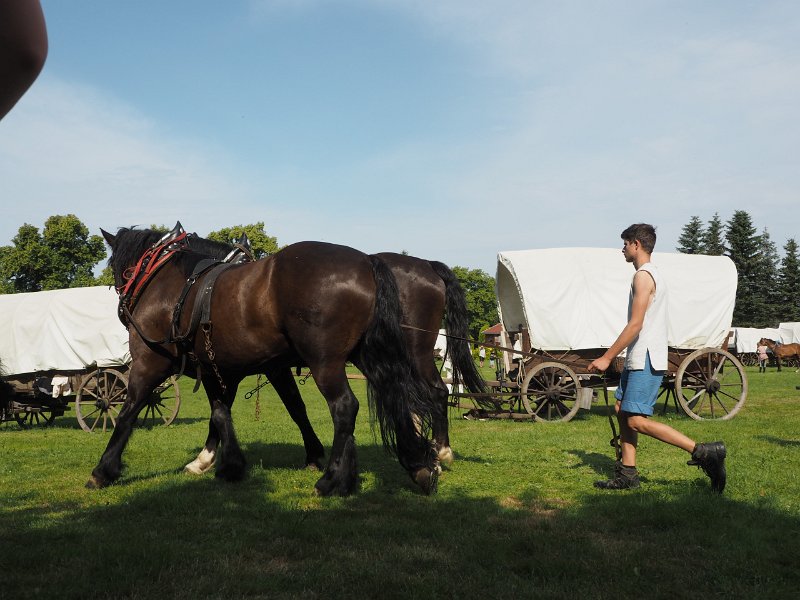 p150717-003471.jpg - 22. Historischer Besiedlungszug 20157. Tag - Langenau