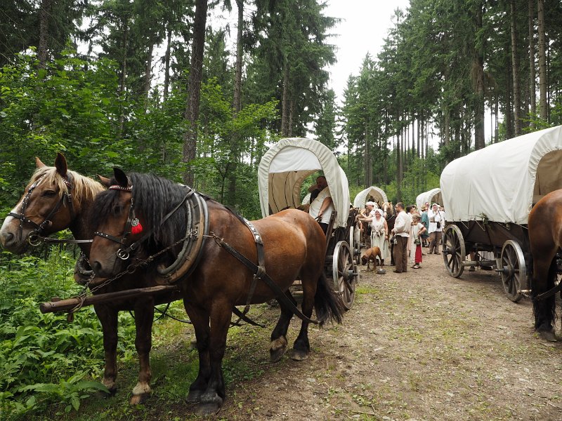 p150717-003498.jpg - 22. Historischer Besiedlungszug 20157. Tag - Langenau - Falkenau