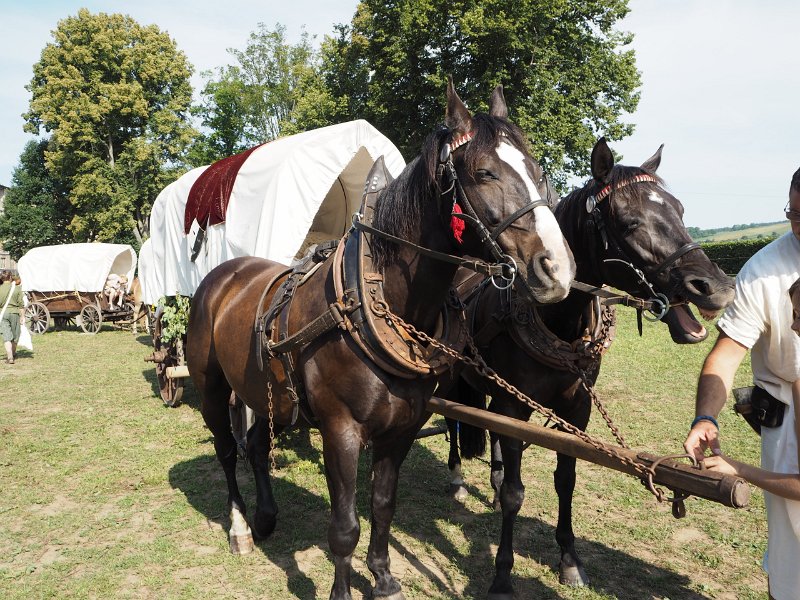 p150718-003624.jpg - 22. Historischer Besiedlungszug 20158. Tag - Falkenau