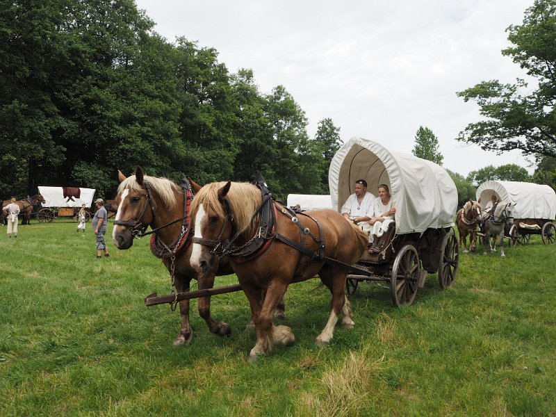 p150718-003662.jpg - 22. Historischer Besiedlungszug 20158. Tag - Braunsdorf