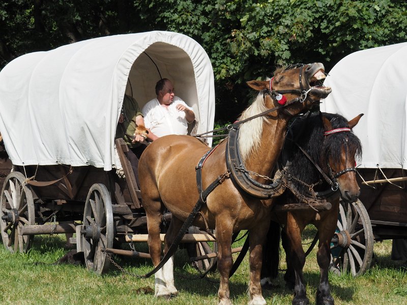 p150719-003903.jpg - 22. Historischer Besiedlungszug 20159. Tag - Braunsdorf