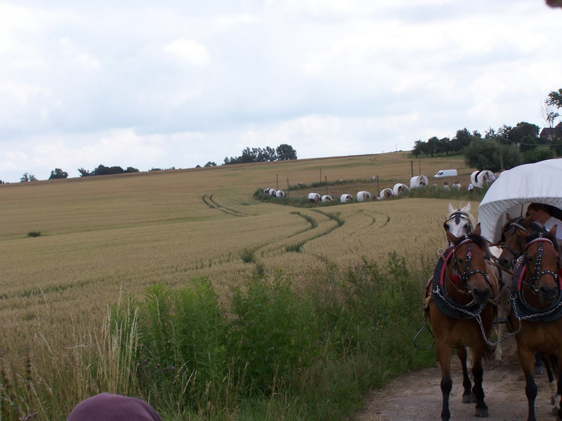 Besiedlungszug 2008 075.jpg