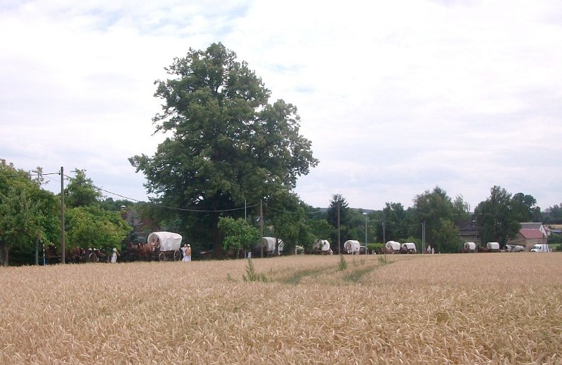 05.JPG