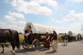 2011 07 10_4149