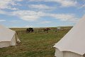 IMG_1596