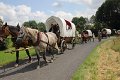 IMG_1810