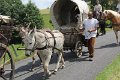 IMG_1831