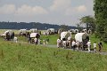 IMG_1835