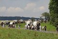 IMG_1836