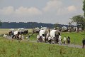 IMG_1837