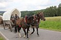 IMG_1859