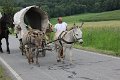 IMG_1861