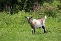 IMG_1879