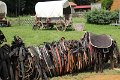 IMG_1894