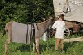 IMG_1947