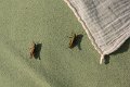 IMG_1959