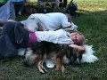 IMG_2156