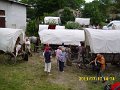 2011 271